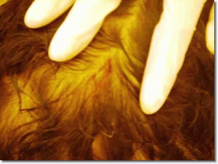 Zum Bild in Originalgr&ouml;&szlig;e hier klicken...