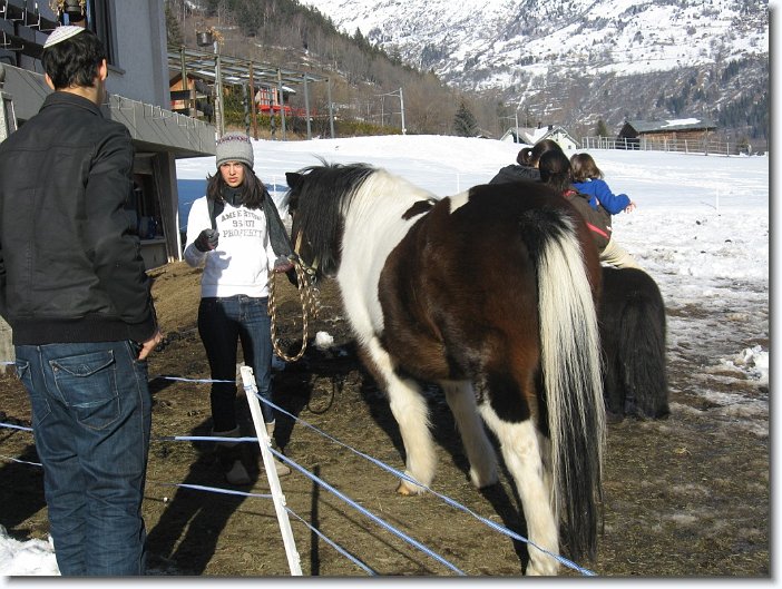 Zum Bild in Originalgröße hier klicken...